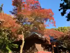 普門寺(切り絵御朱印発祥の寺)(愛知県)