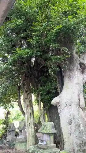 荒魂神社(香川県)