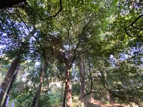 布多天神社(東京都)