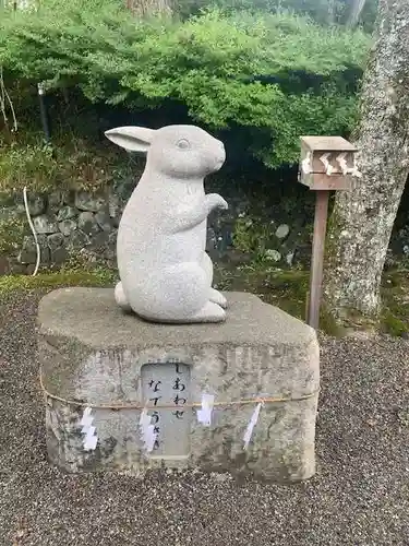 出雲大神宮(京都府)