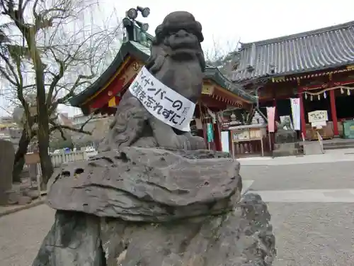 浅草神社の狛犬