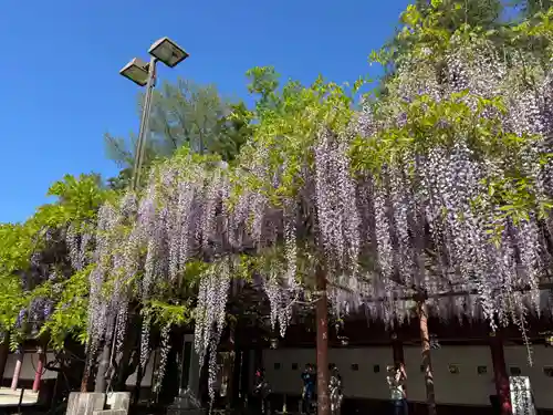 笠間稲荷神社(茨城県)