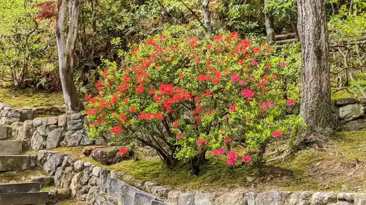 華厳寺(鈴虫寺)(京都府)