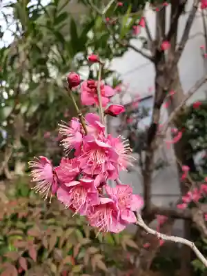 麻布氷川神社(東京都)