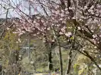 円通寺(神奈川県)