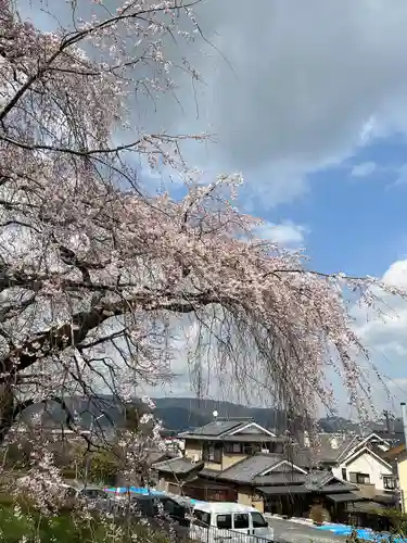 岩屋寺(京都府)