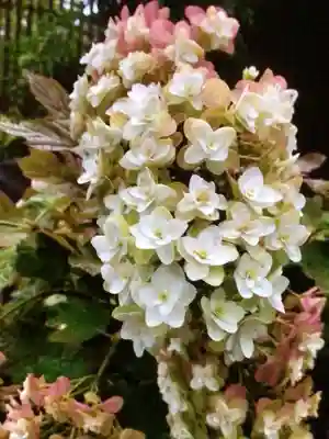 光明院(東京都)