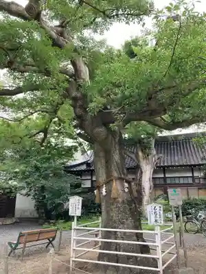 生根神社(大阪府)