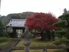 妙法華寺(静岡県)