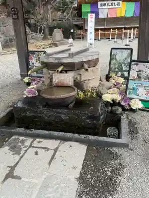 深大寺の{uncategorized: "未分類", other: "その他", undefined: "問題あり", building: "その他建物", grave: "お墓", sacred_gate: "鳥居", guardian: "狛犬", statue: "像", buddha: "仏像", history: "歴史", nature: "自然", garden: "庭園", animal: "動物", pagoda: "塔", temizu: "手水舎", mountain_gate: "山門・神門", sanctuary: "本殿・本堂", subordinate: "末社・摂社", art: "芸術", scenery: "景色", jizo: "地蔵", ema: "絵馬", goshuin: "御朱印", omikuji: "おみくじ", items: "授与品その他", amulet: "お守り", goshuincho: "御朱印帳", eats: "食事", festival: "お祭り", votive_dance: "神楽", shichigosan: "七五三参", wedding: "結婚式", experience: "体験その他", initially: "初詣", around: "周辺", anti_infection: "感染症対策"}