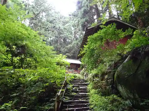 名草厳島神社の自然