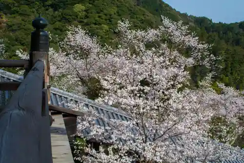 長谷寺の景色