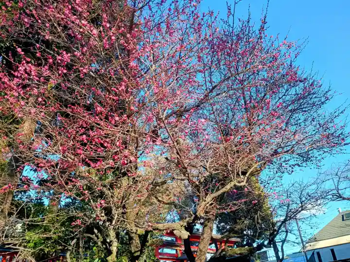 馬橋稲荷神社(東京都)