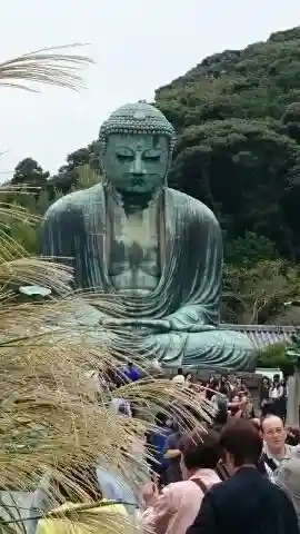 高徳院の仏像