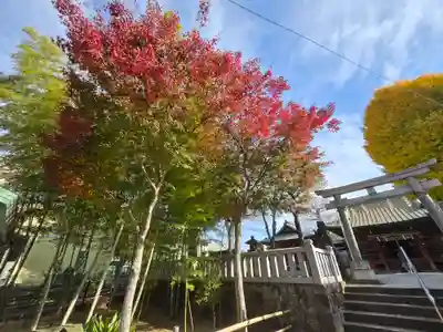 岩淵八雲神社(東京都)