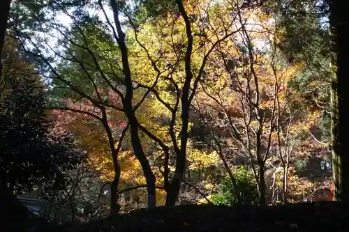 比叡山延暦寺の自然