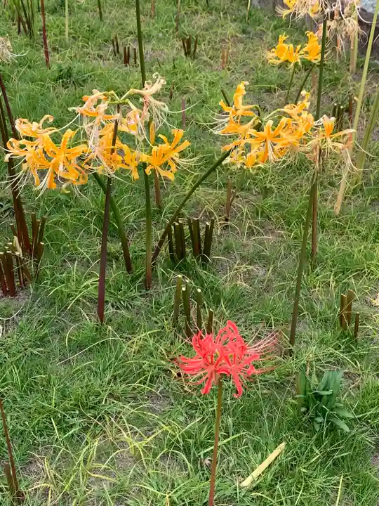 横浜 西方寺(神奈川県)
