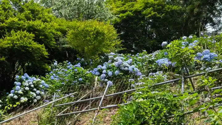 三鈷寺(京都府)