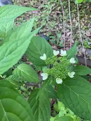 音楽寺(愛知県)