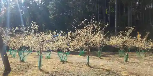 慈光寺の庭園