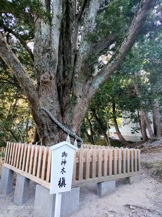 安房神社(千葉県)