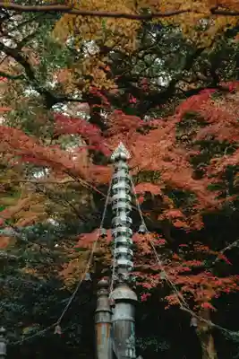 太宰府天満宮(福岡県)