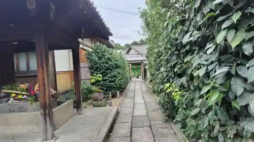 勝林寺(京都府)