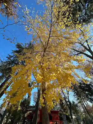 小野神社(東京都)