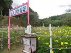 安倍文殊院 (奈良県)