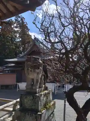 健軍神社(熊本県)