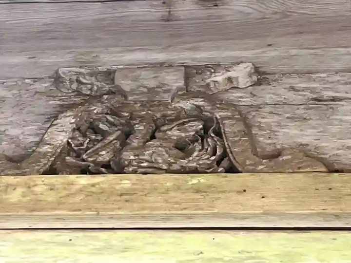 玉置神社(奈良県)