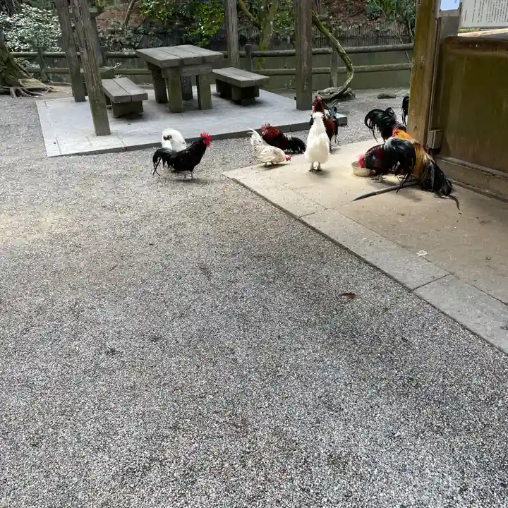 石上神宮(奈良県)