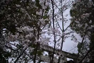 千住神社(東京都)