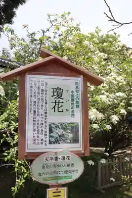 唐招提寺(奈良県)