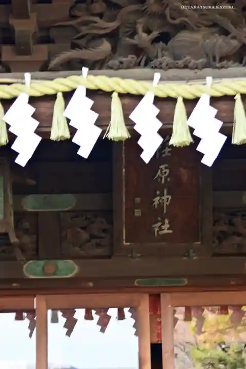 荏原神社の本殿・本堂