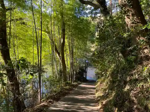 大國魂神社の自然