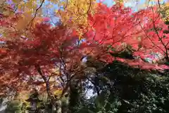 日吉神社の景色