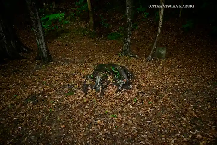 猿田彦神社(三重県)