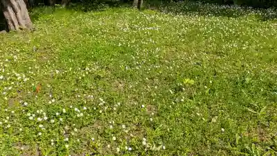 金毘羅神社(北海道)