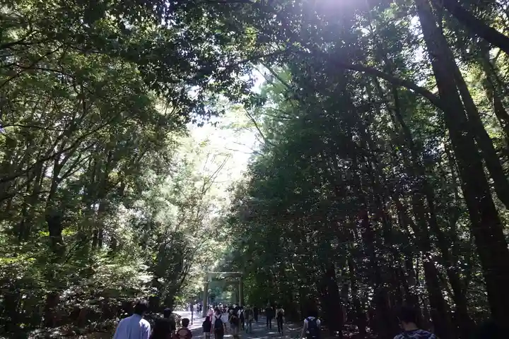 伊勢神宮内宮(皇大神宮)の自然
