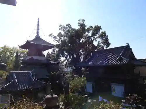 立江寺(徳島県)