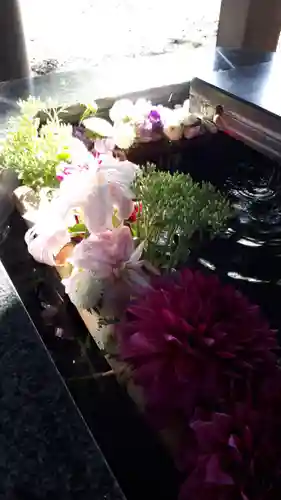 新琴似神社の手水舎