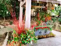 東海市熊野神社の手水舎