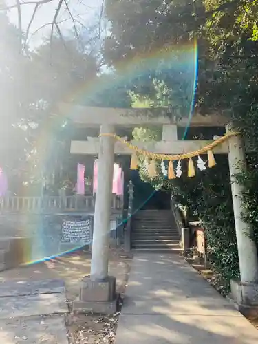 前玉神社(埼玉県)