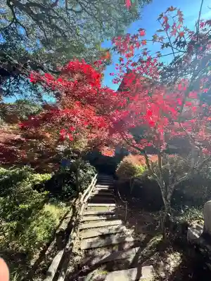 常樂寺(滋賀県)