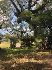 大汝牟遅神社の自然