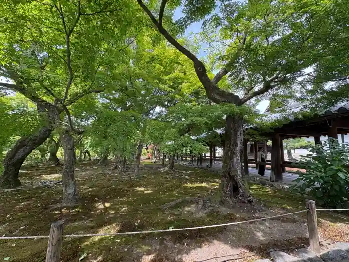 東福禅寺(東福寺)(京都府)