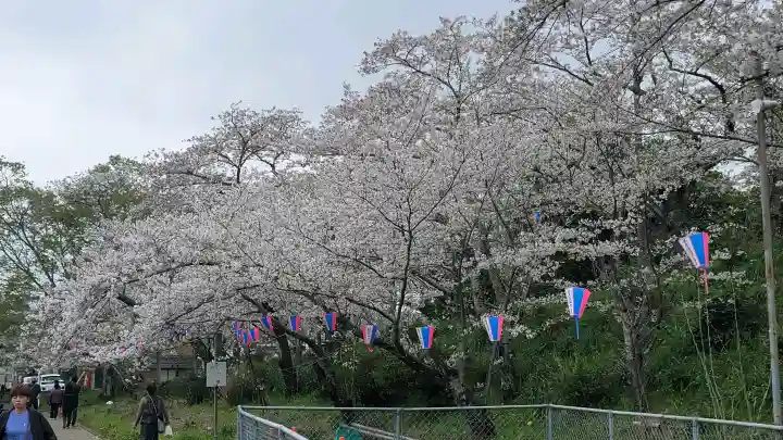 香取神宮の{uncategorized: "未分類", other: "その他", undefined: "問題あり", building: "その他建物", grave: "お墓", sacred_gate: "鳥居", guardian: "狛犬", statue: "像", buddha: "仏像", history: "歴史", nature: "自然", garden: "庭園", animal: "動物", pagoda: "塔", temizu: "手水舎", mountain_gate: "山門・神門", sanctuary: "本殿・本堂", subordinate: "末社・摂社", art: "芸術", scenery: "景色", jizo: "地蔵", ema: "絵馬", goshuin: "御朱印", omikuji: "おみくじ", items: "授与品その他", amulet: "お守り", goshuincho: "御朱印帳", eats: "食事", festival: "お祭り", votive_dance: "神楽", shichigosan: "七五三参", wedding: "結婚式", experience: "体験その他", initially: "初詣", around: "周辺", anti_infection: "感染症対策"}