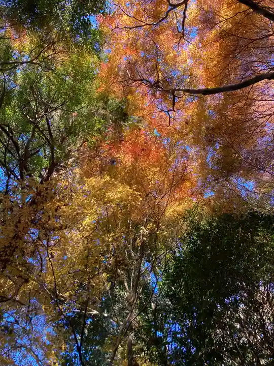 穴師坐兵主神社(奈良県)