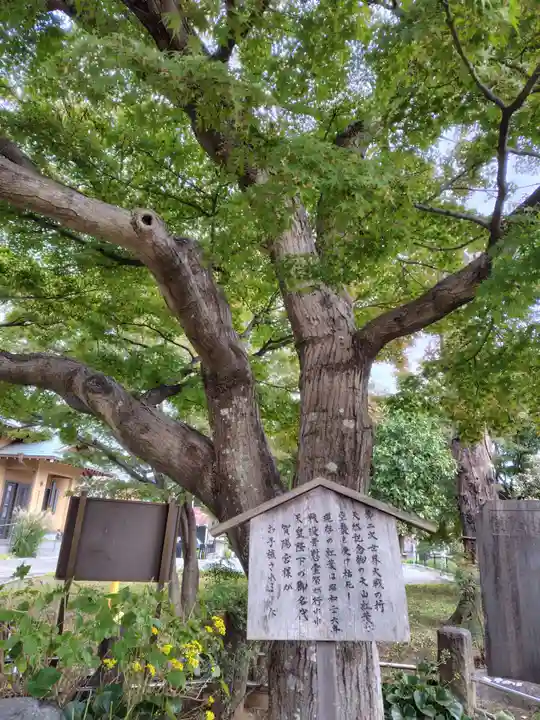 本行寺(埼玉県)